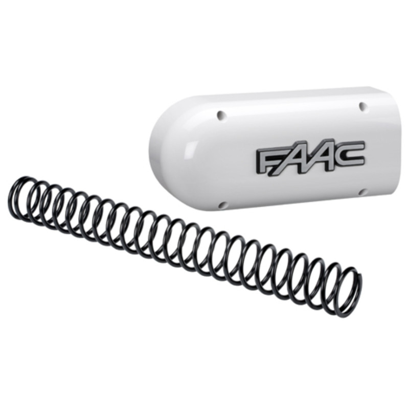 428436 FAAC Flasque et ressort pour lisse S