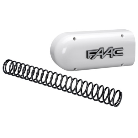 428436 FAAC Flasque et ressort pour lisse S