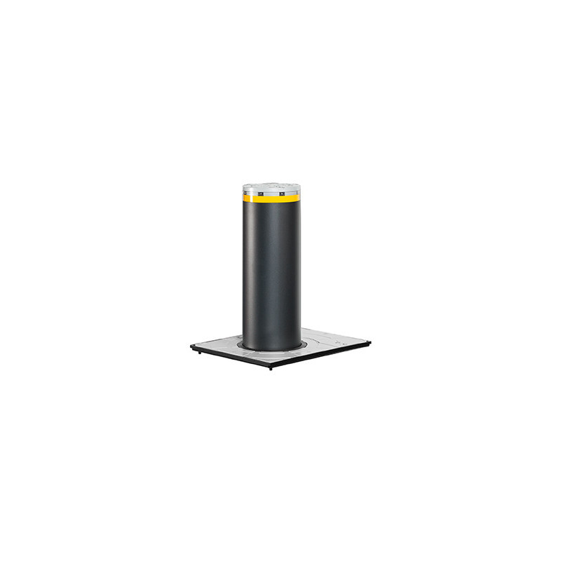 FAAC 116505 Borne J200 HA inox 316 satine FAAC 116505 Borne J200 HA inox 316 satine