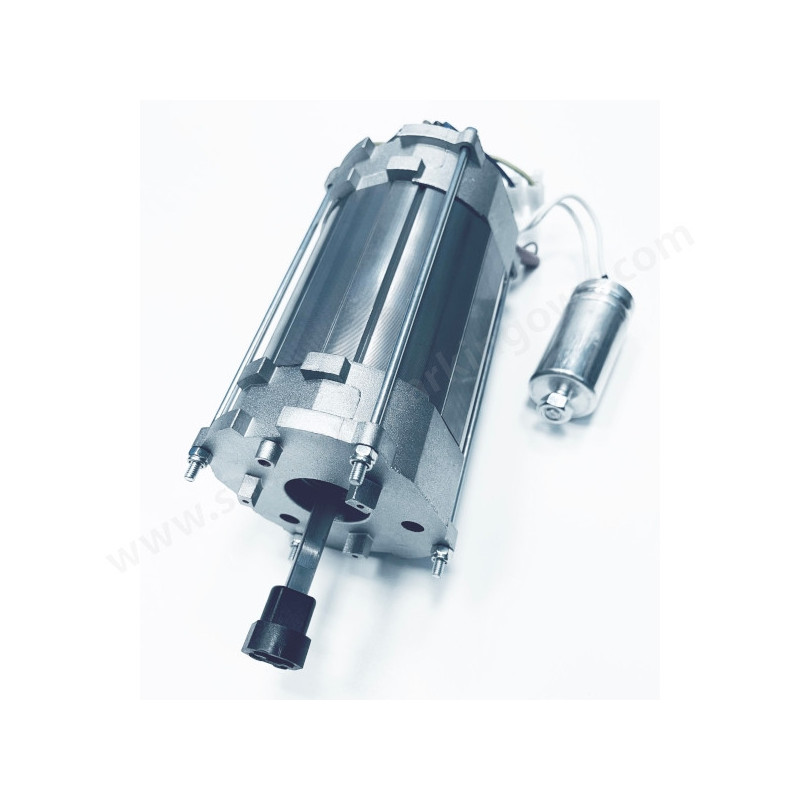 CAME 88001-0141 Groupe Moteur + Frein AXO 24V CAME 88001-0141 Groupe Moteur + Frein AXO 24V