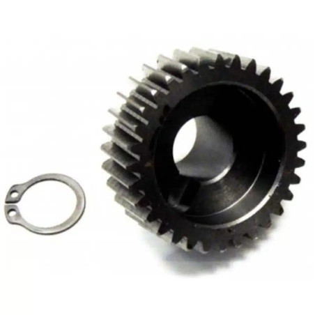 CAME 119RID171 Couronne motoréducteur
