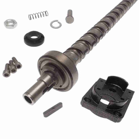 CAME 119RID172 Vis sans fin