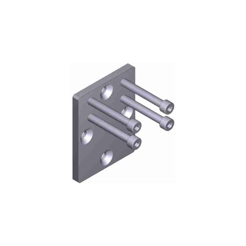 CAME 119RID340 Contre-base de fixation