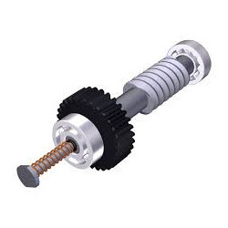 CAME 119RID374 Couronne et vis sans fin