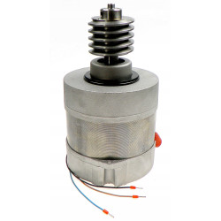 CAME 119RIBX016 Groupe moteur