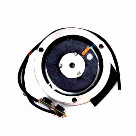 CAME 119RIY034 Boîtier pour électroaimant