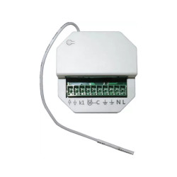 CAME 001YE0119 Récepteur d'extérieur à Encastré. RKLT-W50