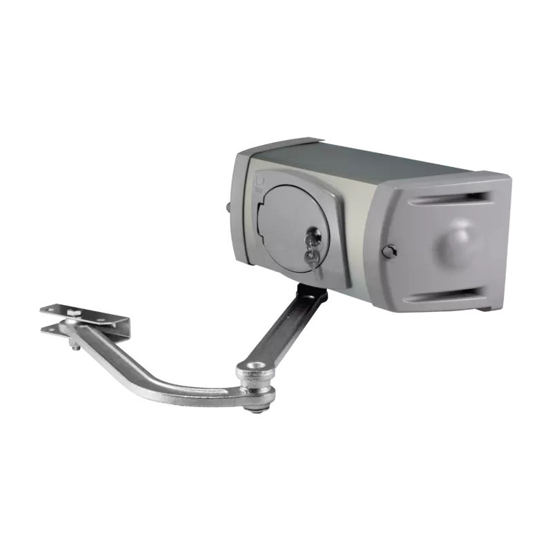 CAME 001FE40230 Motoréducteur FERNI irréversible en 230V