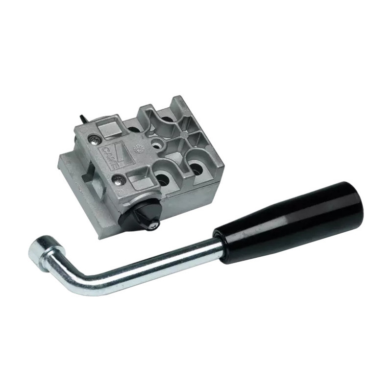 CAME 001A4364  Dispositif de déblocage avec clé à levier