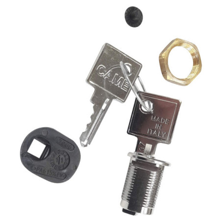 CAME 119RIBX042 Cylindre serrure