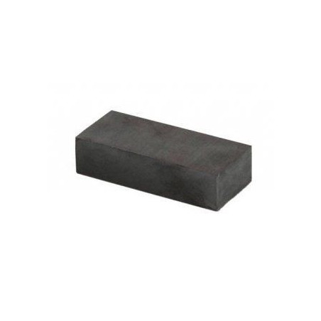 CAME 119RIA027 Aimant