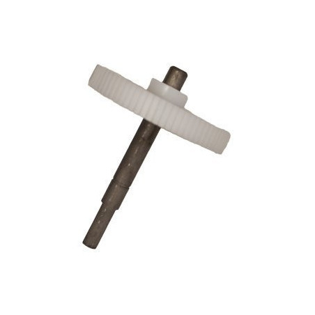 CAME 119RIE161 Arbre lent