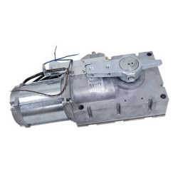 CAME 119RIG201 Motoréducteur