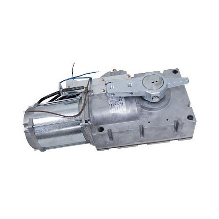 CAME 119RIG201 Motoréducteur