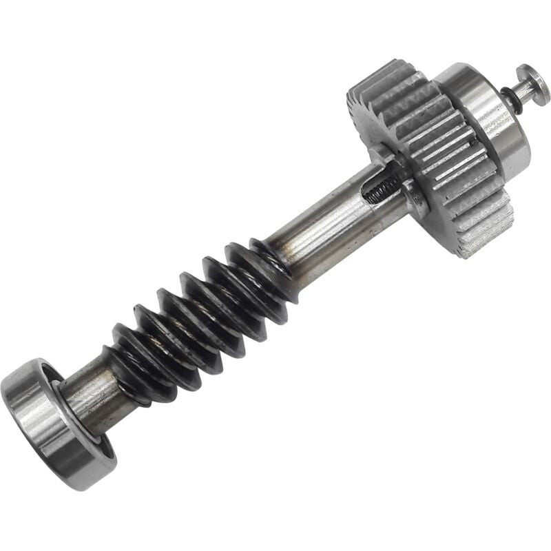 CAME 119RID228 Couronne et vis sans fin