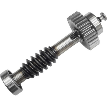 CAME 119RID228 Couronne et vis sans fin