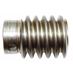 CAME 119RID230 Vis sans fin