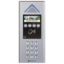 Interphone 4G Villa Ready alu argent avec clavier